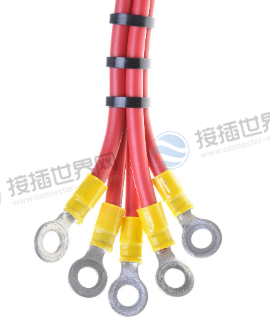 环形端子类型