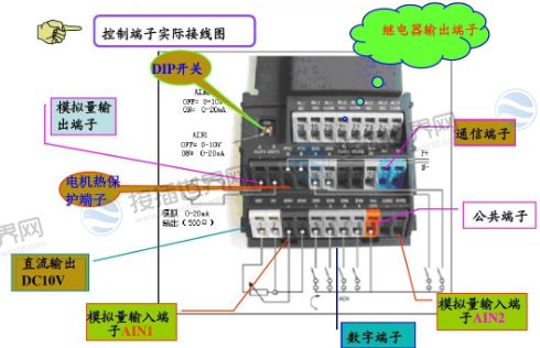 功能作用