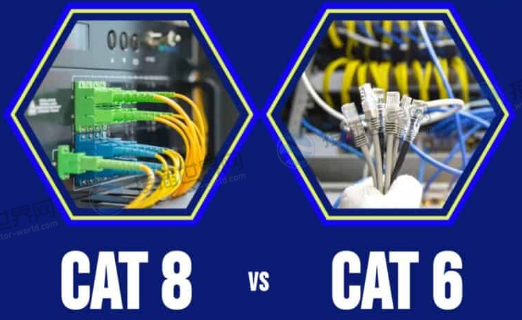Cat 8与Cat 6的区别