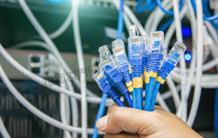 Cat 8以太网电缆可以处理更高的带宽和数据传输速率。