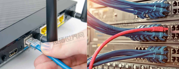 Cat 7与Cat 8电缆区别