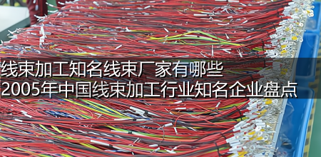 线束加工知名线束厂家有哪些 2005年中国线束加工行业知名企业盘点