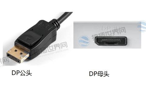 标准DP