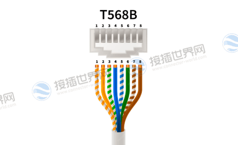 T568B