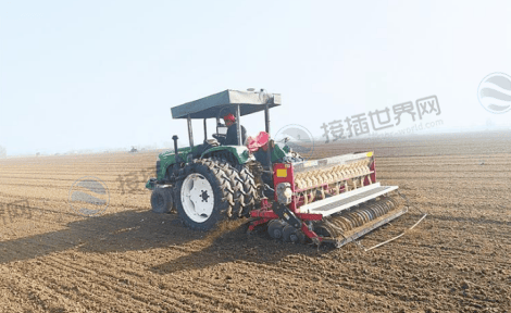 精准播种机